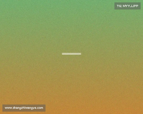 杨建平注册的赛事、杨建平近期比赛